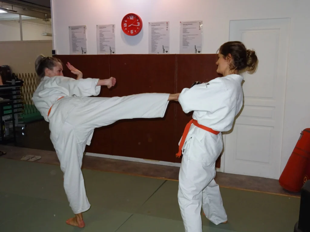 Deux femmes pratiquant un art martial.